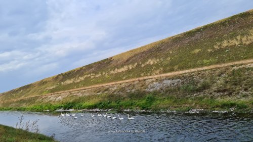014 biciklijada dubovica foto novak