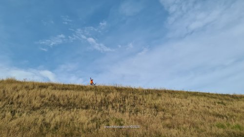 020 biciklijada dubovica foto novak